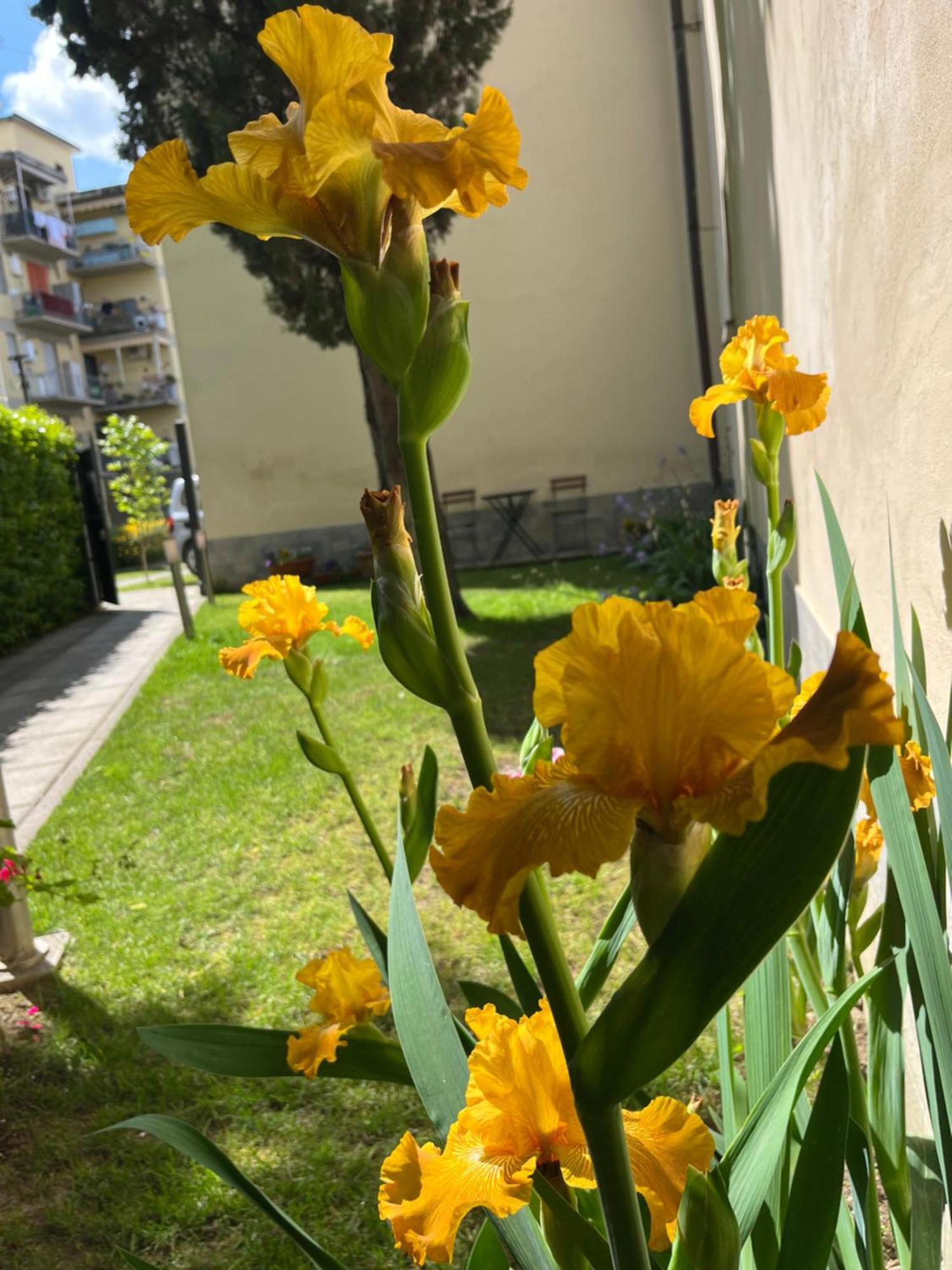 Dalu Florence Apartment Lucilla - Private Car Park 15 Minutes To The City Center Exterior foto